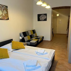 Appartement met een Slaapkamer